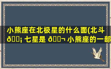 小熊座在北极星的什么面(北斗 🐡 七星是 🐬 小熊座的一部分吗)